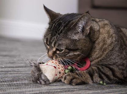 Interactive Cat Toy with Light and HappyNip Blend